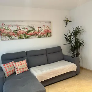 Parrot's House Apartment